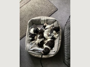Image 1 of 15