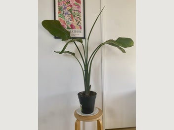 Image 1 of 7