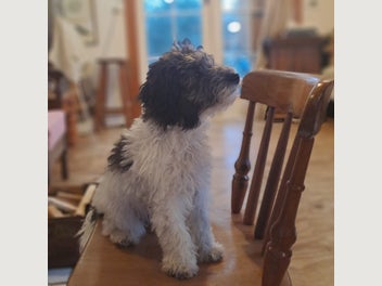 Image 1 of 14