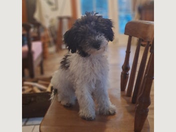 Image 1 of 16