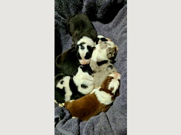 Image 1 of 15