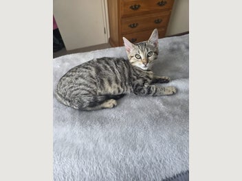 Image 1 of 13