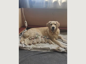 Image 1 of 17