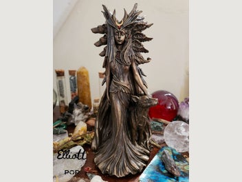 Image 1 of 12