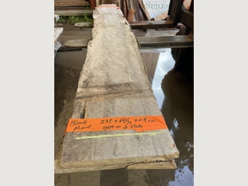 Image 1 of 15