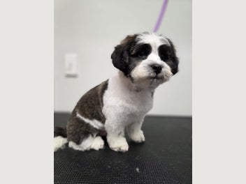 Image 1 of 8