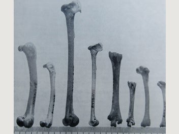 Image 1 of 11