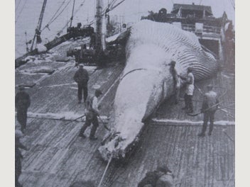 Image 1 of 20