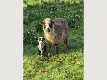 Image 1 of 10