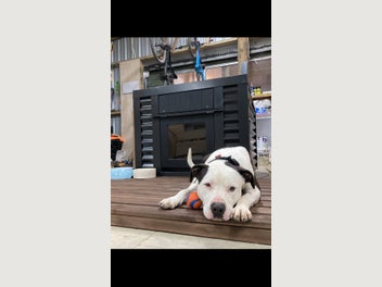 Image 1 of 18