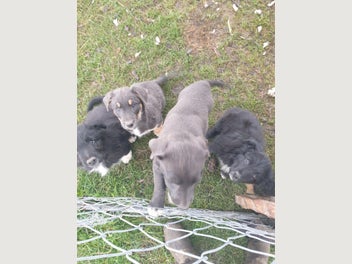 Image 1 of 9