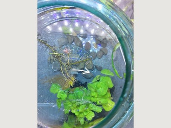 Image 1 of 11