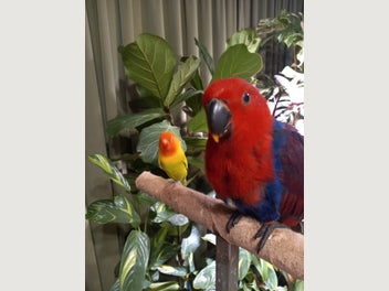 Image 1 of 4