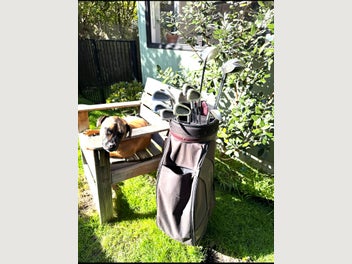 Image 1 of 10