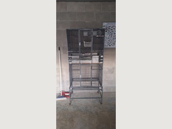 Image 1 of 8