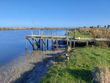 Image 1 of 10