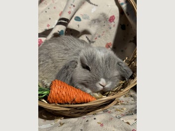 Image 1 of 11