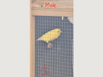 Image 1 of 19