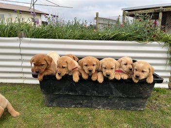 Image 1 of 20