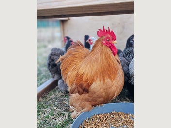 Image 1 of 3