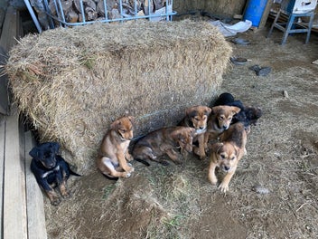 Image 1 of 6