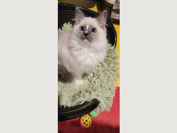 Image 1 of 6