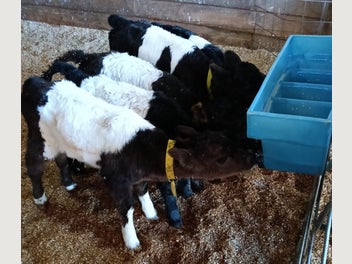 Image 1 of 3