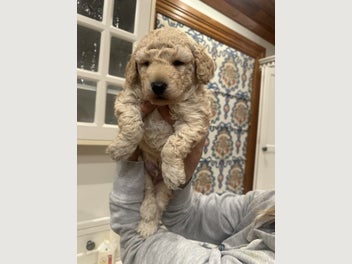 Image 1 of 9