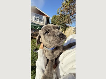 Image 1 of 10