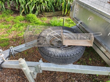 Image 1 of 5
