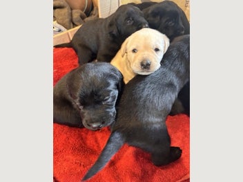 Image 1 of 8