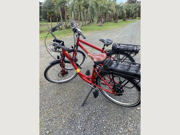 Image 1 of 7