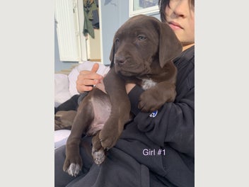 Image 1 of 11