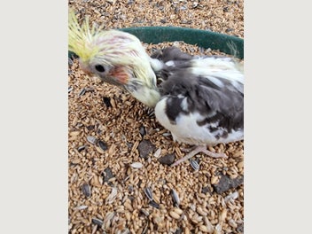 Image 1 of 1