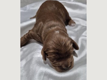 Image 1 of 18