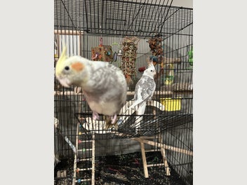 Image 1 of 1