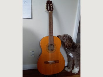 Image 1 of 3