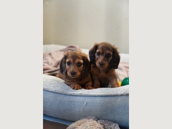 Image 1 of 20