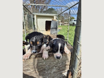 Image 1 of 8
