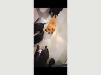 Image 1 of 6