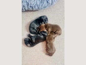 Image 1 of 11