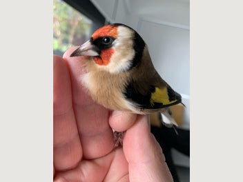 Image 1 of 6