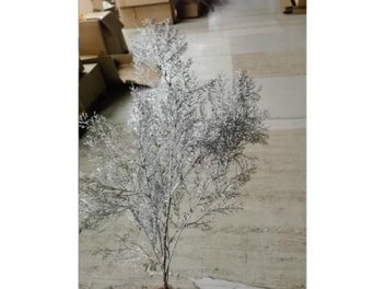 Image 1 of 9