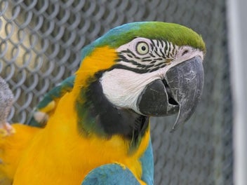 Image 1 of 10