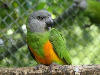 Image 1 of 6