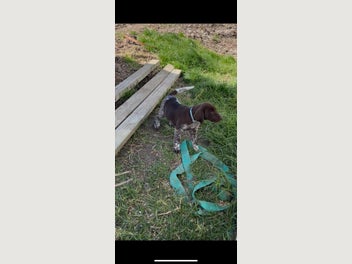 Image 1 of 16