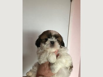 Image 1 of 5