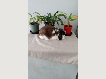Image 1 of 11