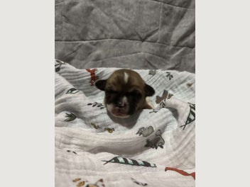 Image 1 of 6