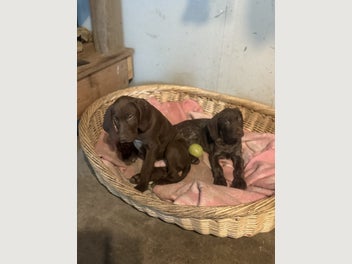 Image 1 of 11
